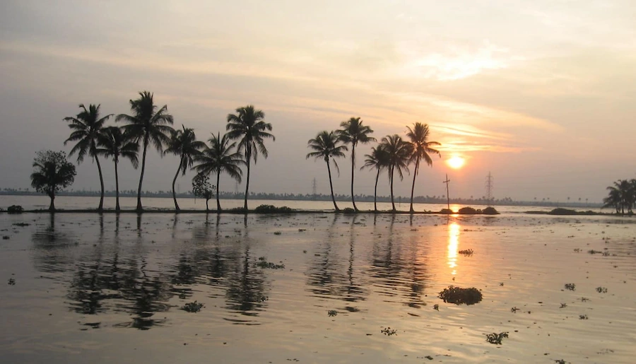 kerala-backwaters-sunset