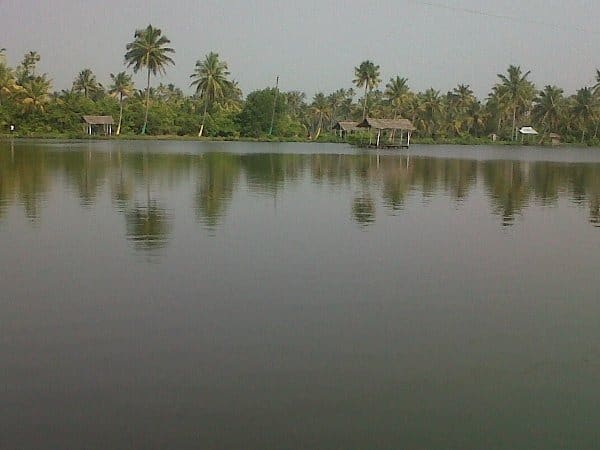 Njarrakal Backwaters