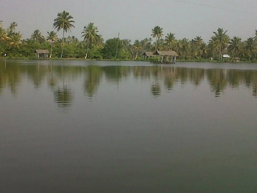 najarrakal-backwaters