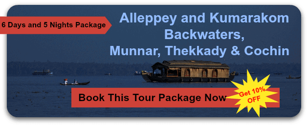 6 Days 5 Nights Valentine Special Package 