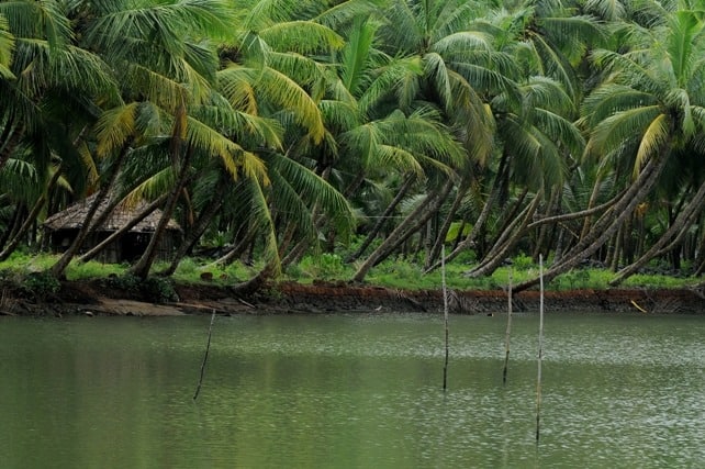 Valiyaparamba-Backwaters-kasargod