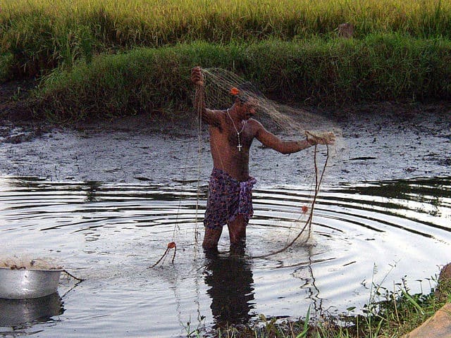 Fisherman getting ready to cast the net in Kerala backwaters
