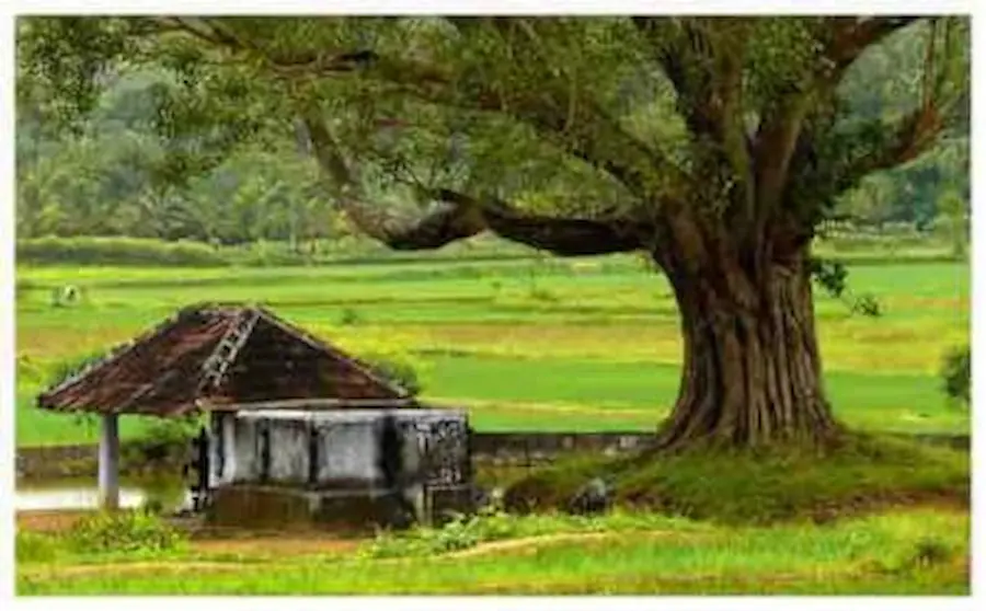 kerala- (1)