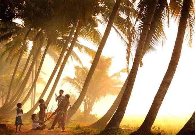 kerala-village
