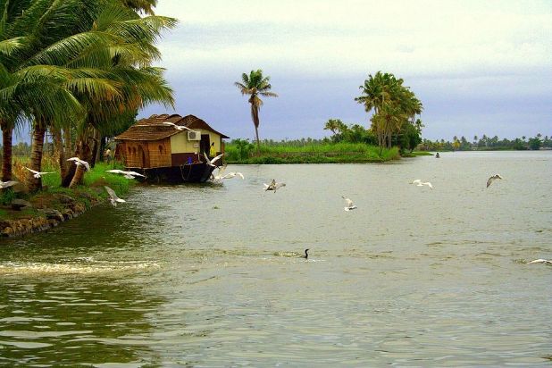 Romancing on Kerala Backwaters Romancing on Kerala Backwaters