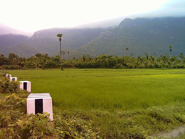 A village from Nemmara, Palakkad A village from Nemmara, Palakkad