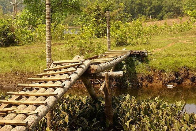 The makeshift coconut bridge
