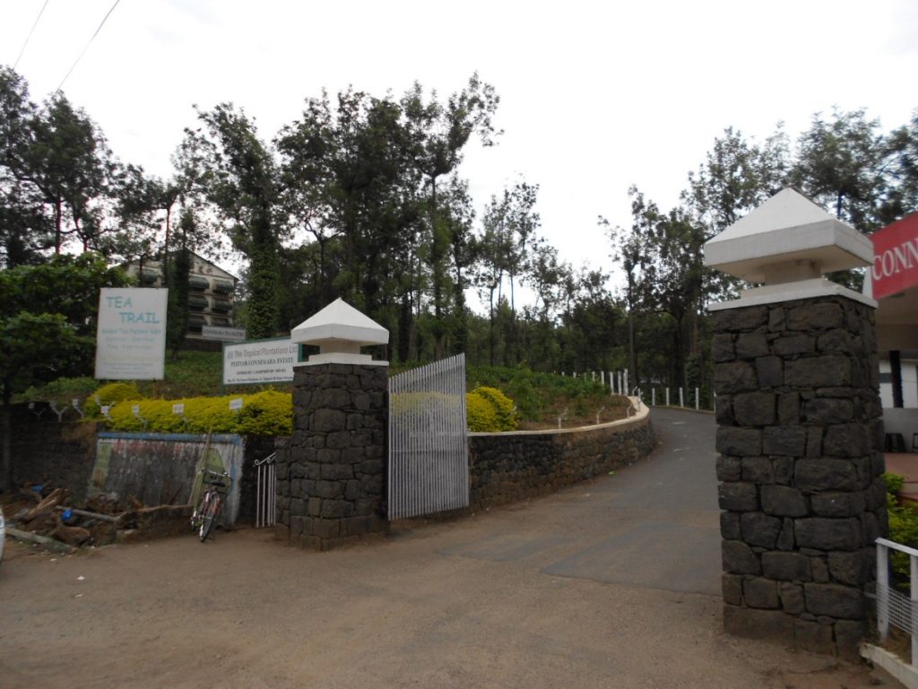 Tea Factory at Thekkady Tea Factory at Thekkady