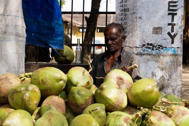 Drinking Tender Coconut