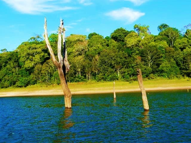 periyar-tiger-reserve