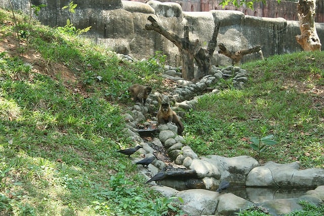 Trivandrum zoo