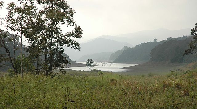 Periyar National Park Periyar National Park