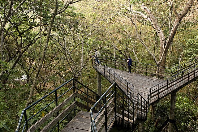 Thenmala Ecotourism Bridge Thenmala Ecotourism Bridge