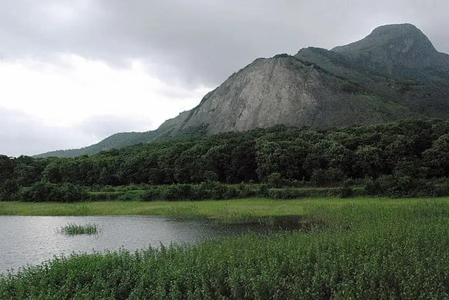 Western_ghats