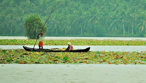 Vellayani Lake