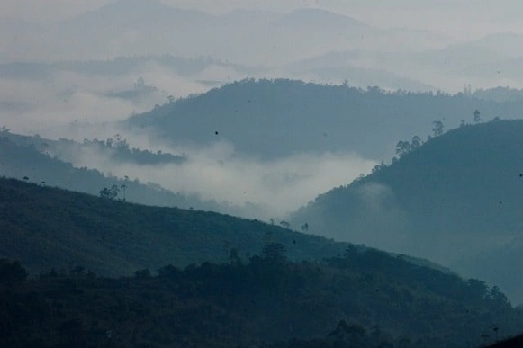 Vagamon- Hill Station