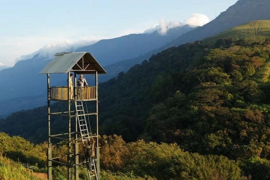 hillstations-in-kerala