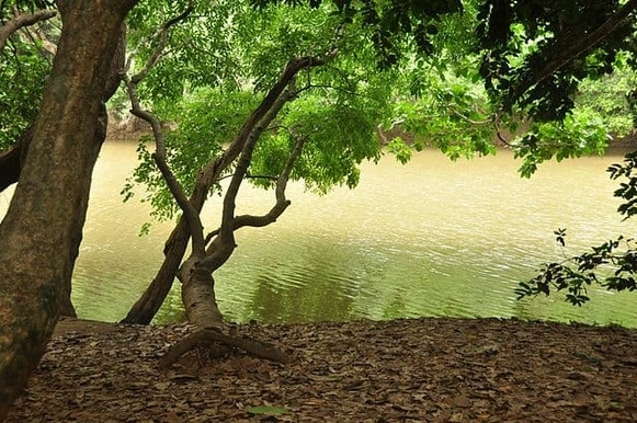 Kuruva islands On Kabini River