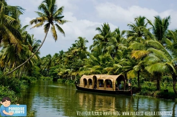 Houseboat Journey Through Kerala Backwaters
