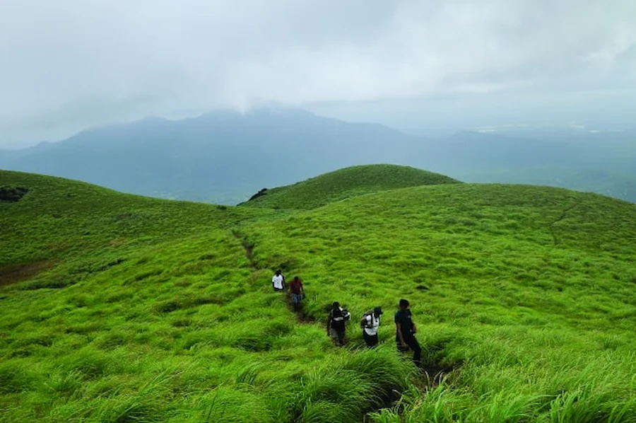chembra_peak_wayanad