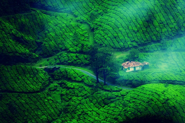 Munnar