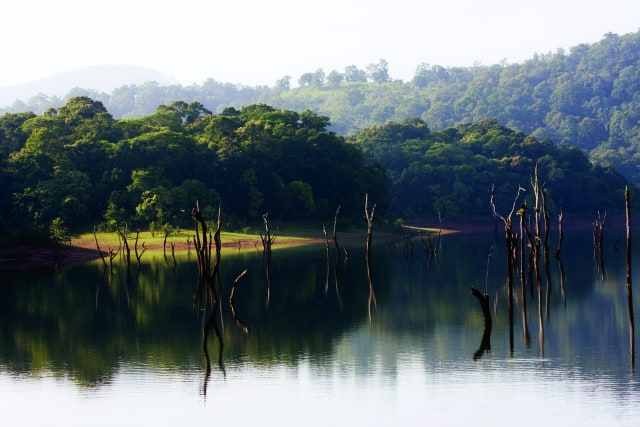 Thekkady