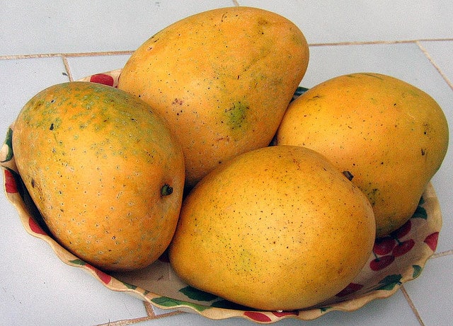 Mangoes in Kerala Mangoes in Kerala
