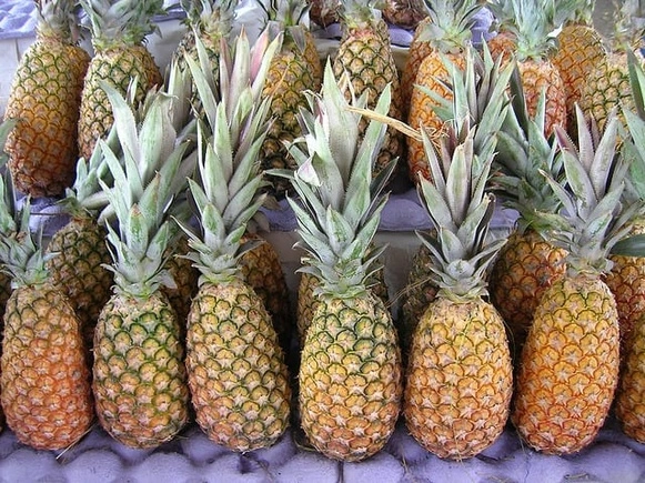 Pineapple in Kerala