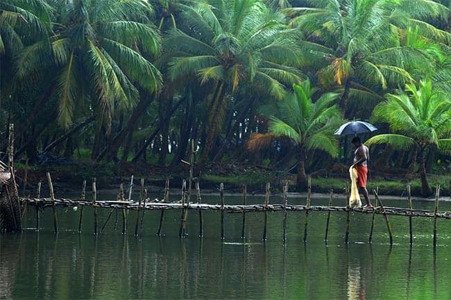 Kasaragod Backwaters