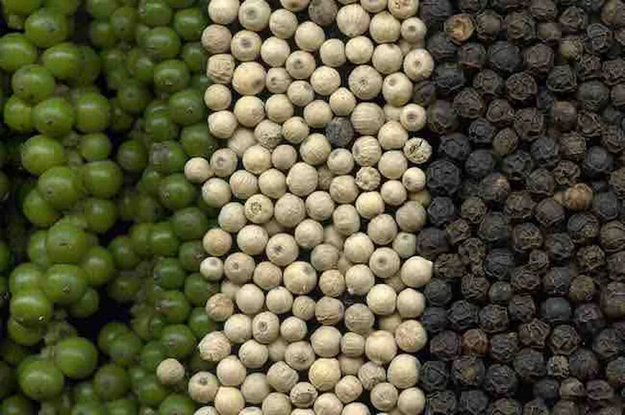 Pepper