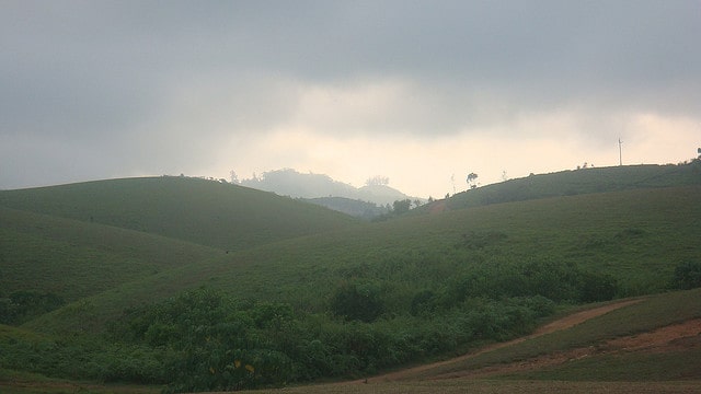 wagamon