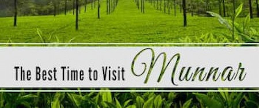 visit-munnar