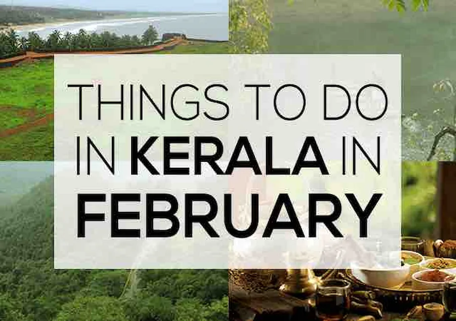 things-to-do-in-kerala-infebruary1