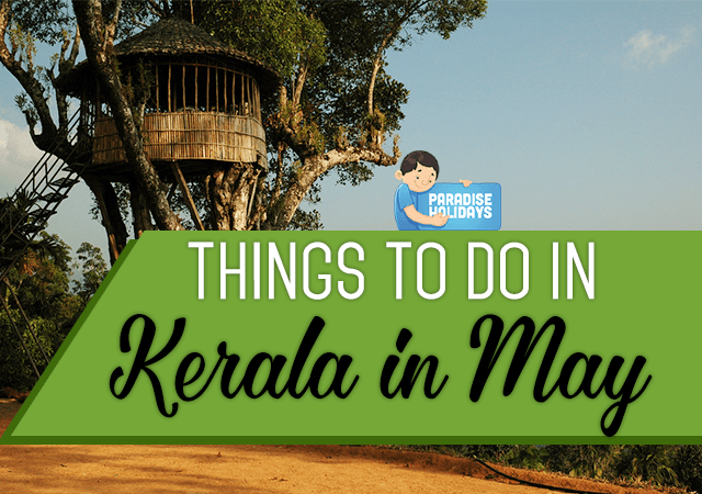 Things to do in Kerala in May