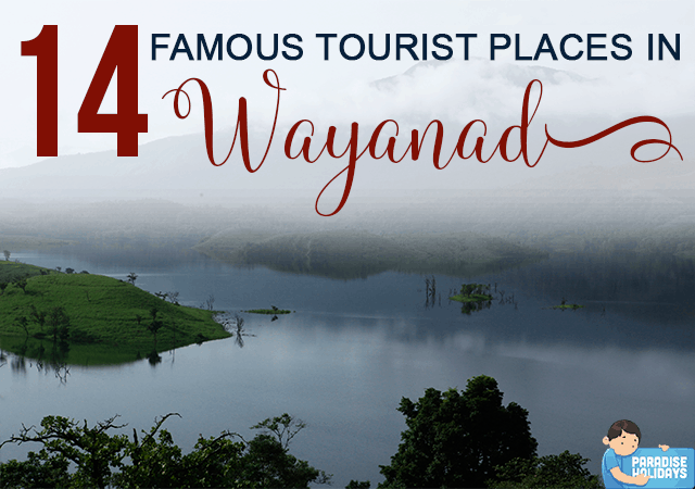 14 Famous tourist places in Wayanad