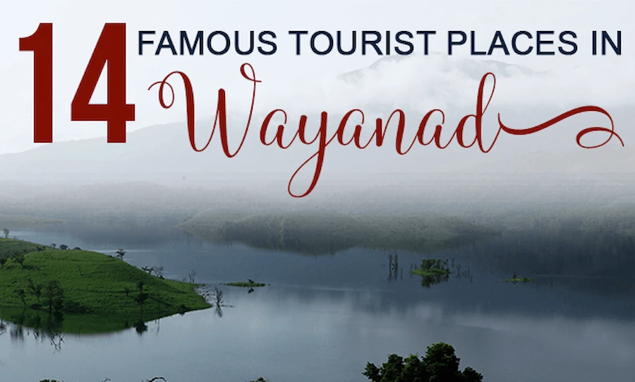 14-Famous-tourist-places-in-Wayanad