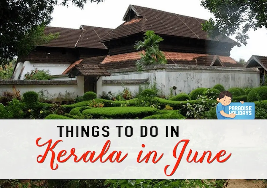 Things-to-in-Kerala-in-June