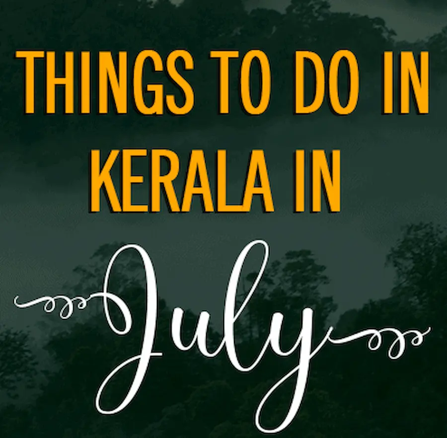 Things-to-in-Kerala-in-July-pinterest