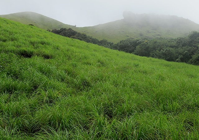 Ranipuram Hills Ranipuram Hills