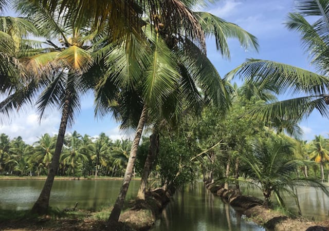 Munroe Island Munroe Island