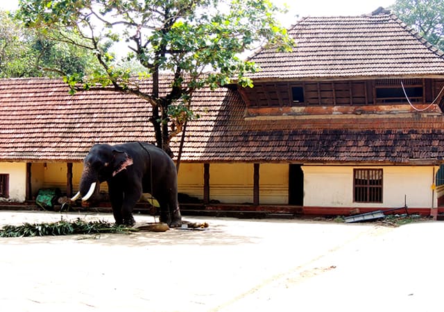 Punnathur Kotta