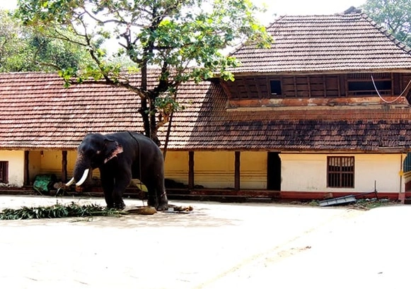 Punnathur Kotta