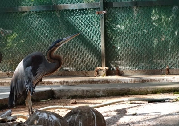 Thrissur Zoo