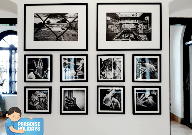 Biennale-Kochi-11