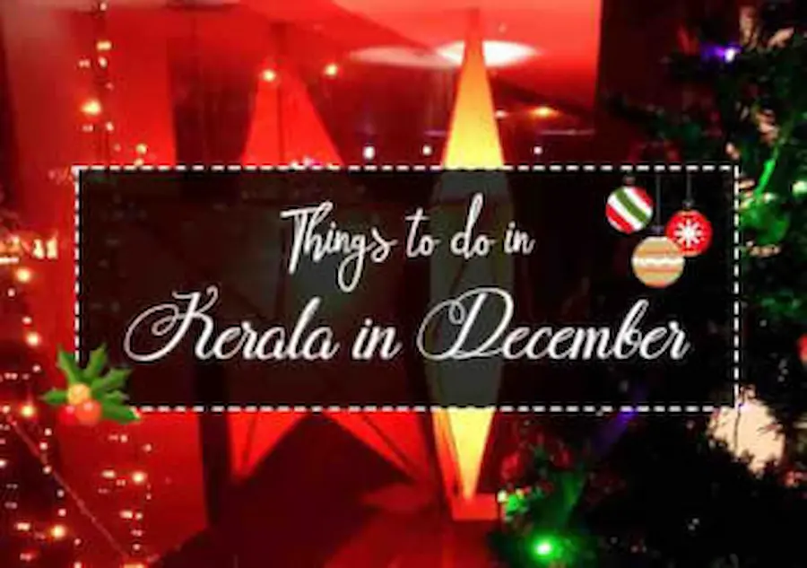 Things-to-do-in-Kerala-in-December