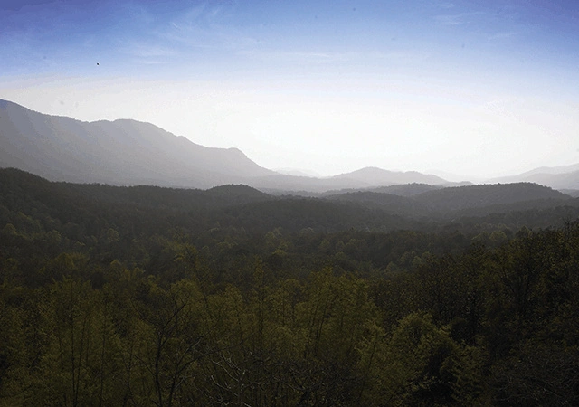 Silent-Valley-Palakkad