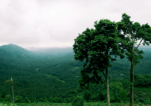 Arimbra Hills Arimbra Hills