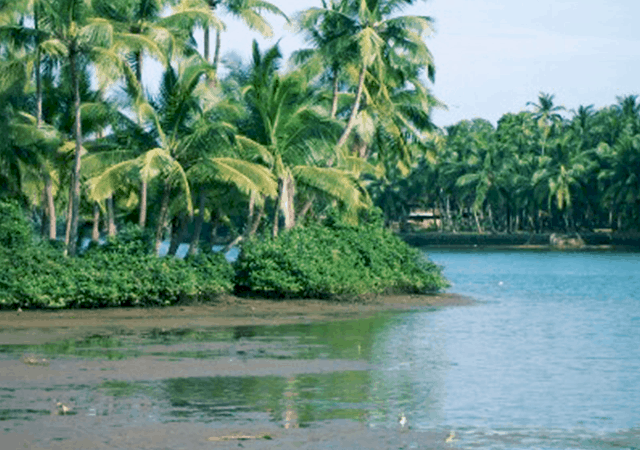 Biyyam Kayal Biyyam Kayal