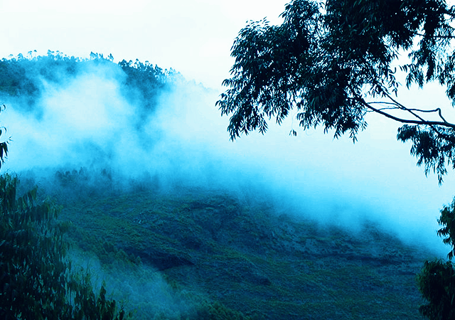 Mist Covered Hill Mist Covered Hill