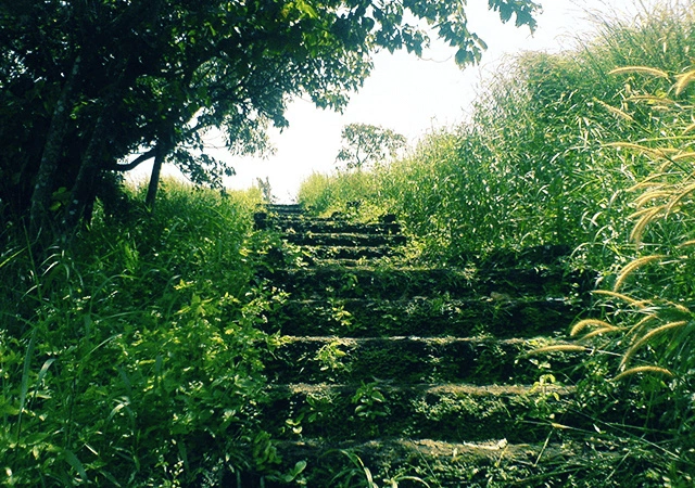 Trekking Path